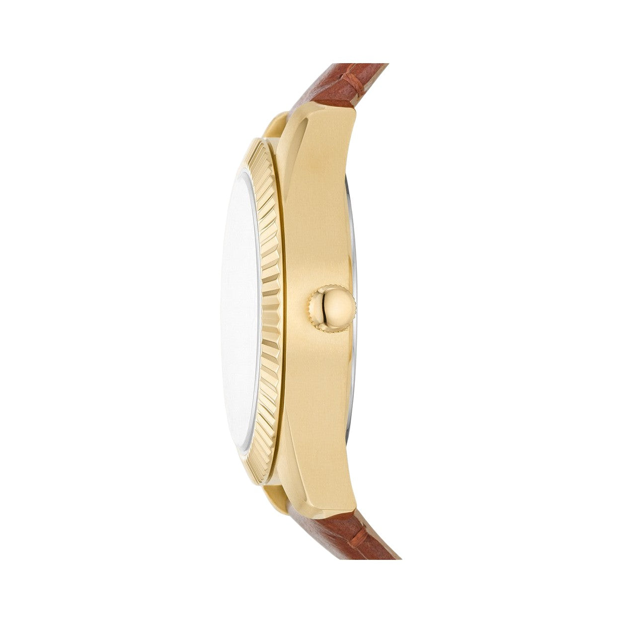 Fossil Scarlette