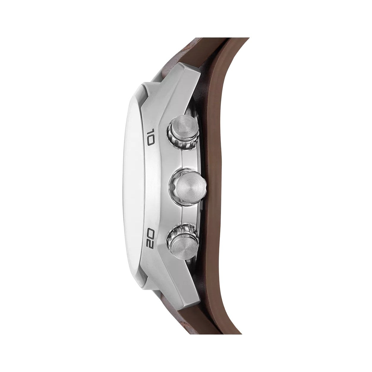 Fossil Coachman
