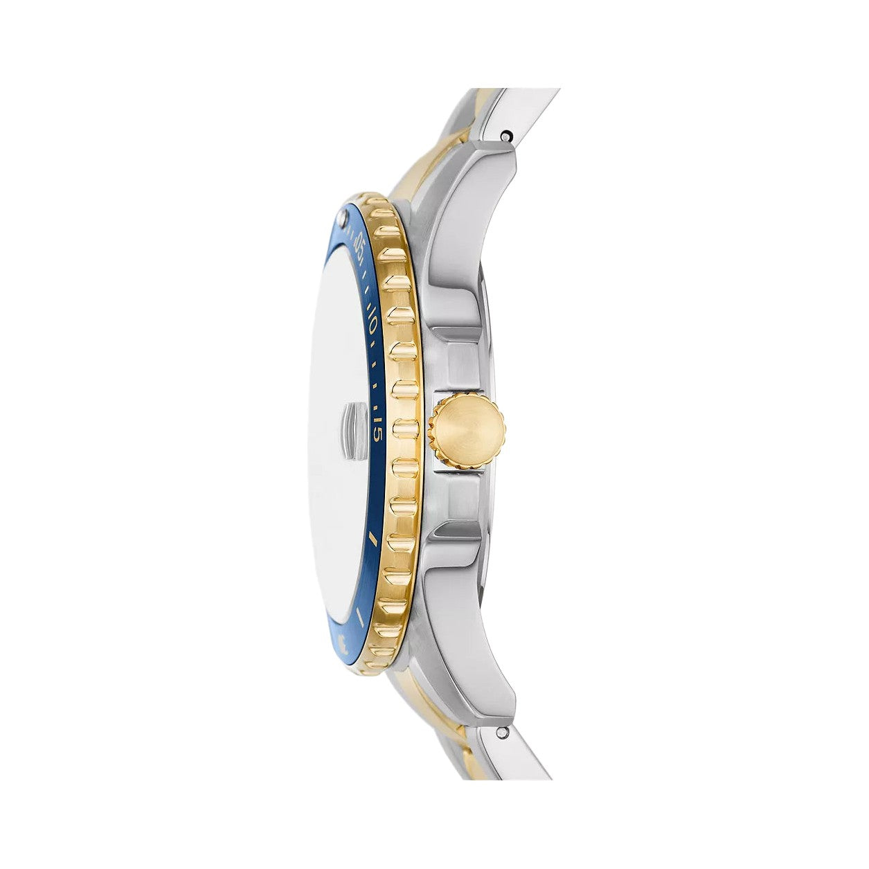 Fossil Blue