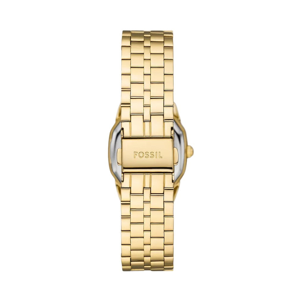 Fossil Harlow
