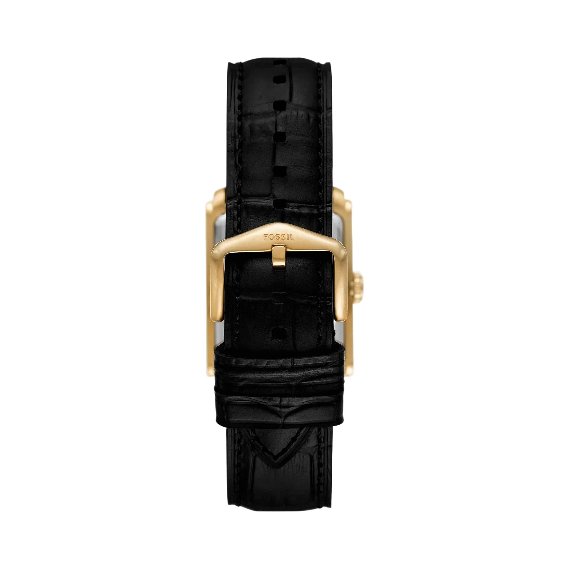 Fossil Carraway