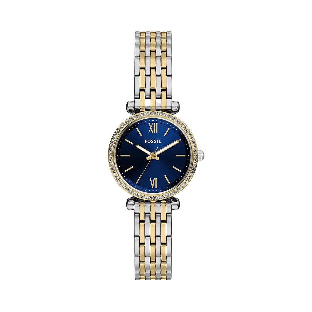 Fossil Carlie