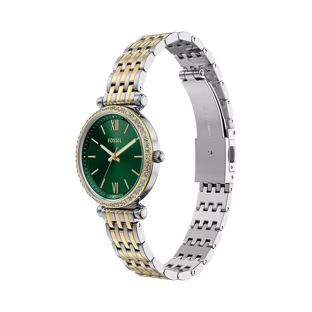 Fossil Carlie