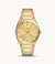 Fossil Everett