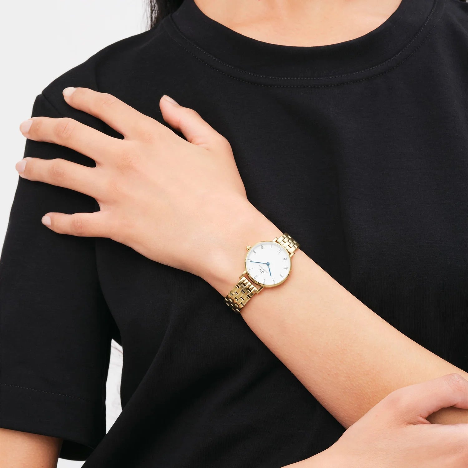 Daniel Wellington - Petite Roman Numerals 5-Link