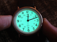 Timex Expedition Scout