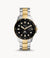Fossil Blue