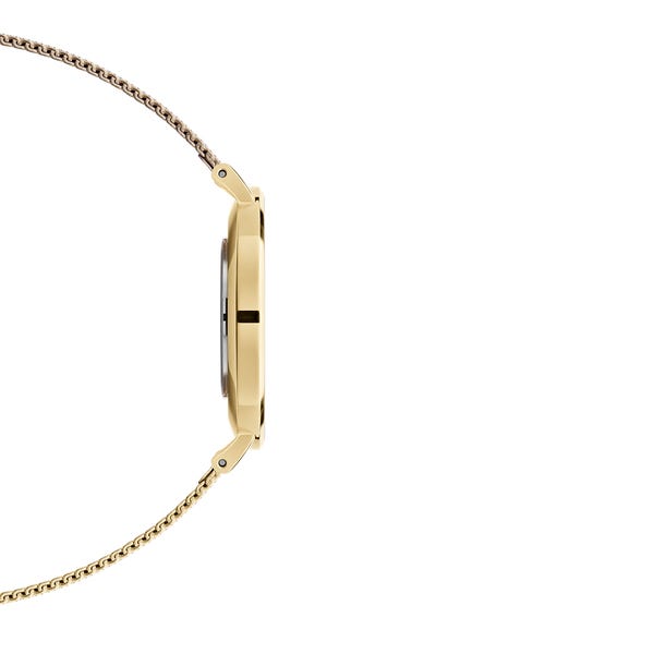 Daniel Wellington - Petite Evergold 28-36mm